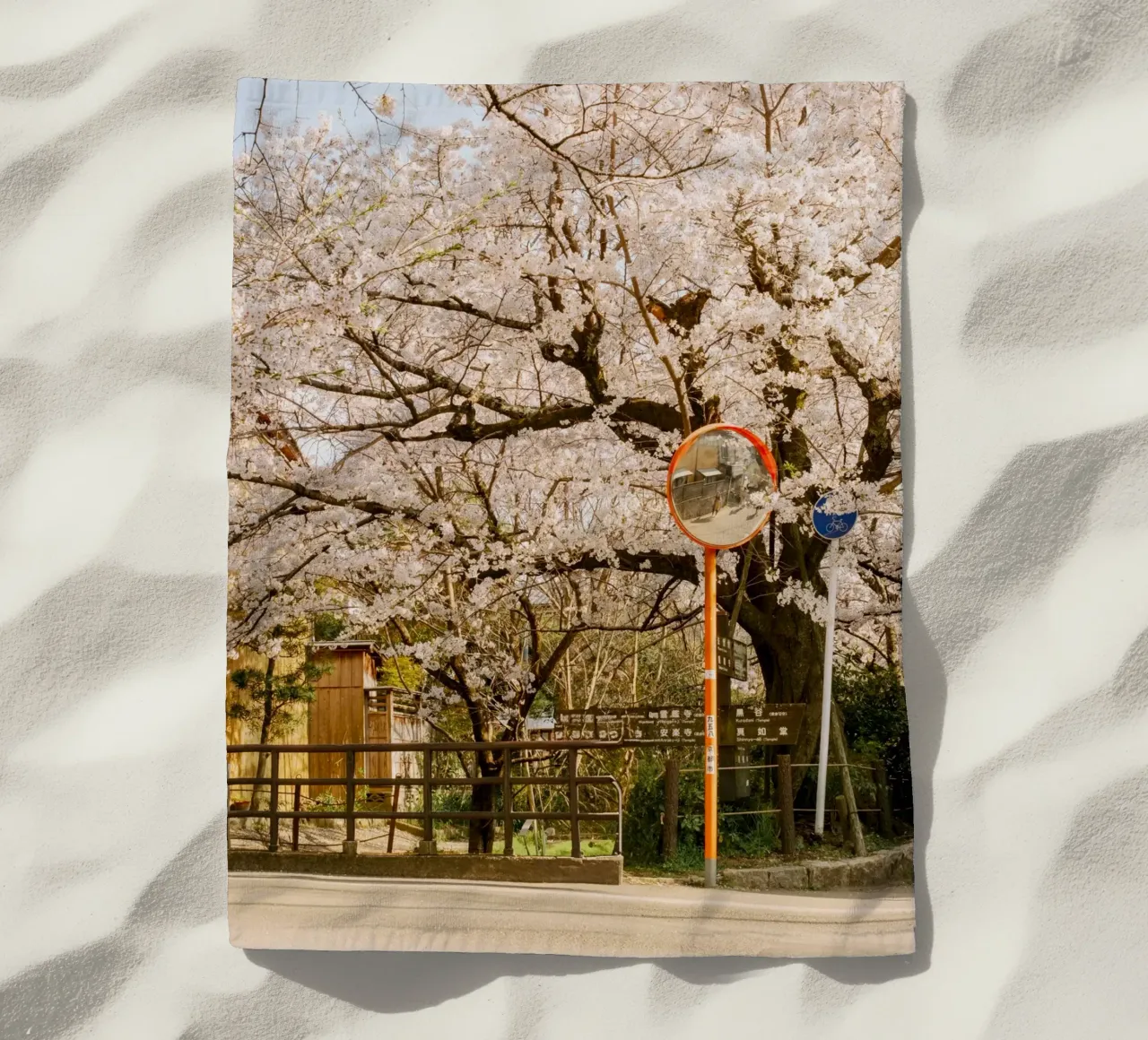 La via dei ciliegi in fiore a Kyoto, Giappone telo mare da mbgraphx2