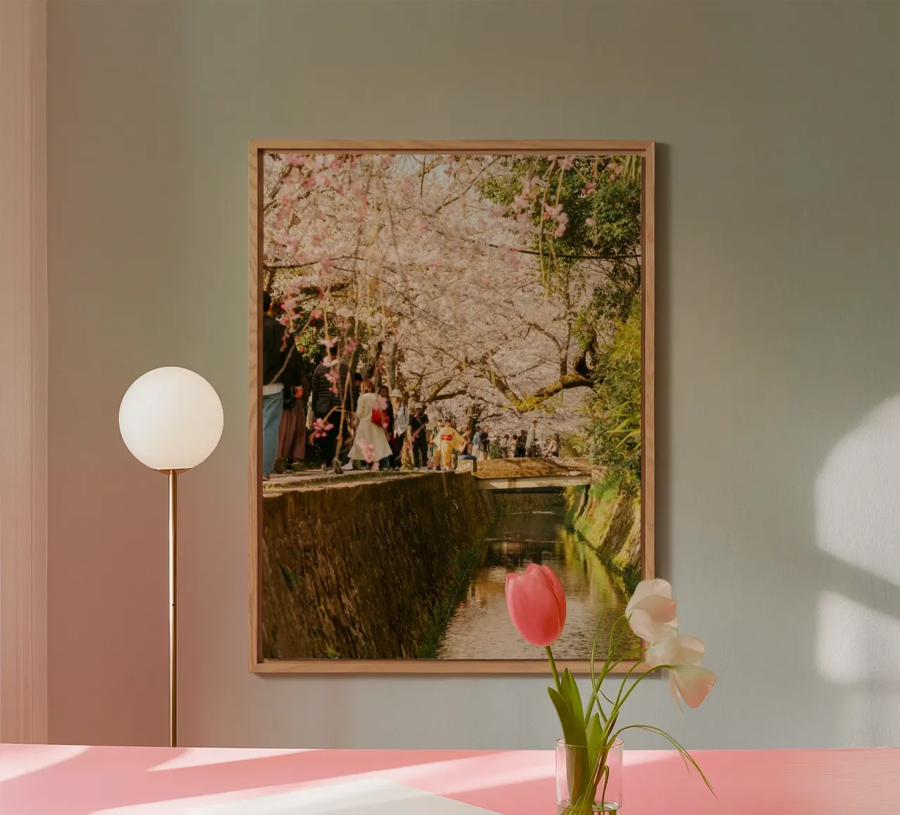 Canale dei ciliegi in fiore a Kyoto, Giappone alluminio dibond da mbgraphx2