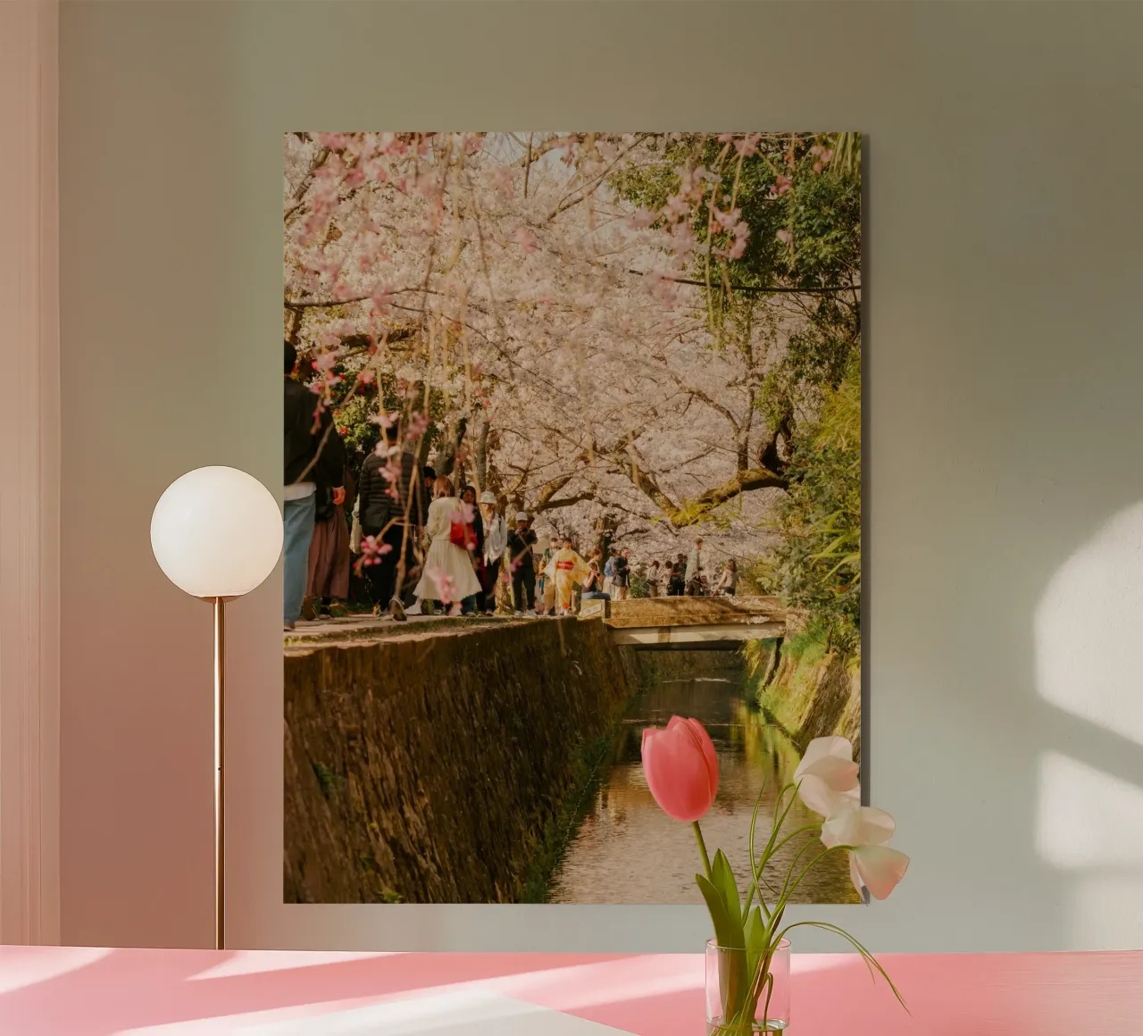 Canale dei ciliegi in fiore a Kyoto, Giappone alluminio dibond da mbgraphx2