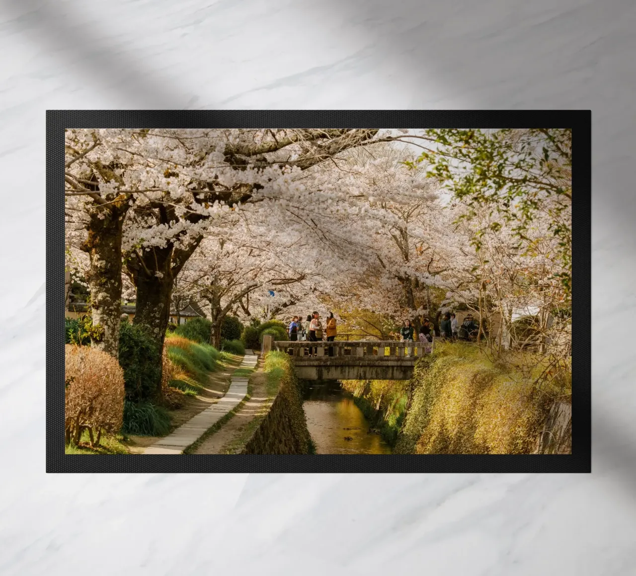 Canale dei ciliegi in fiore a Kyoto zerbino da mbgraphx2
