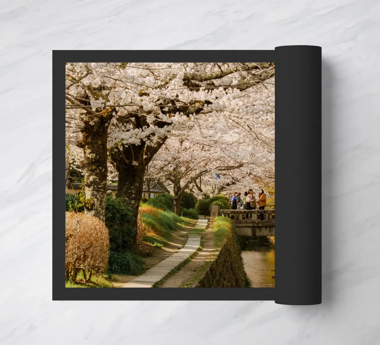 Canale dei ciliegi in fiore a Kyoto zerbino da mbgraphx2