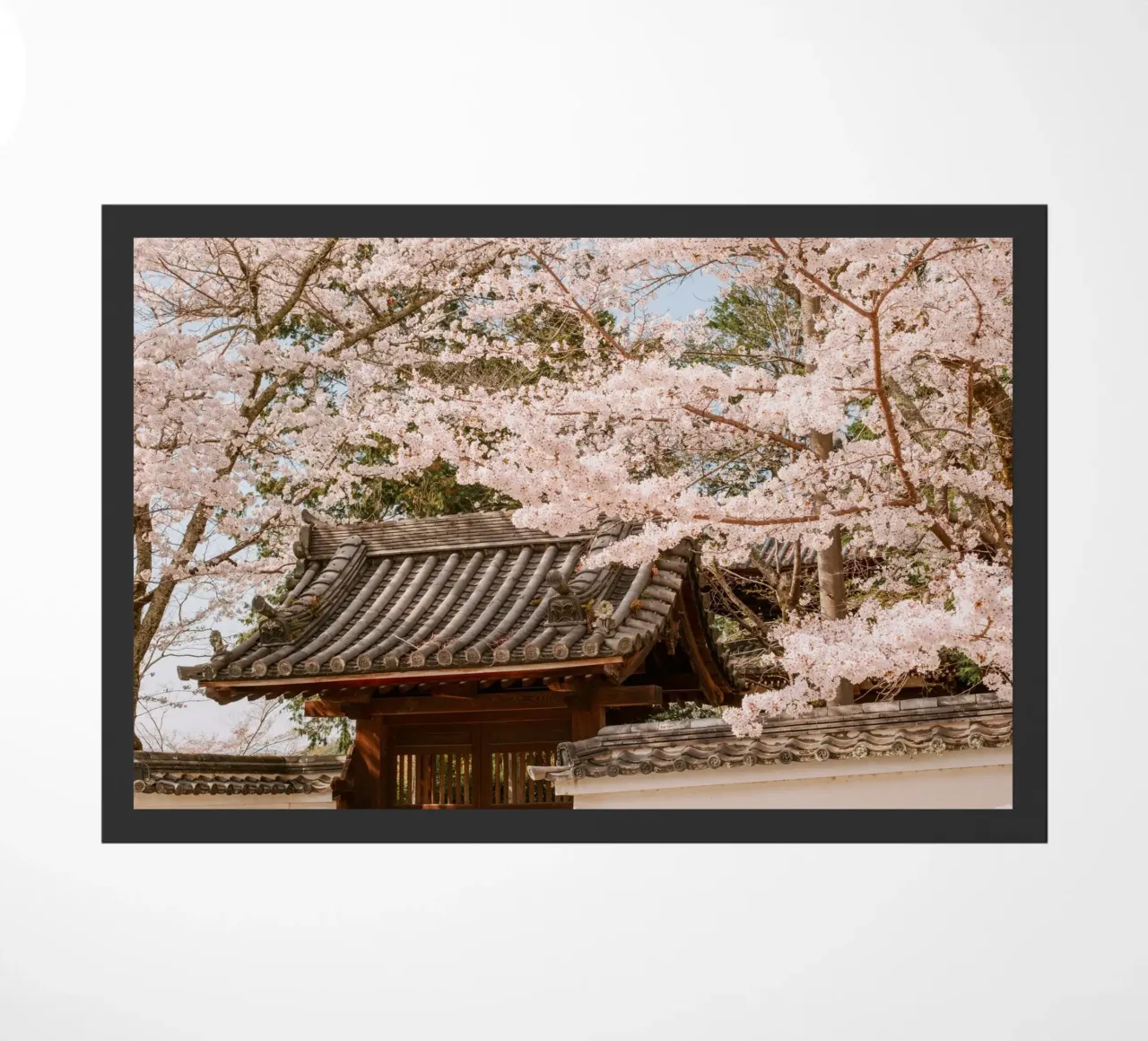 Tetto del tempio dei ciliegi in fiore a Kyoto, Giappone zerbino da mbgraphx2