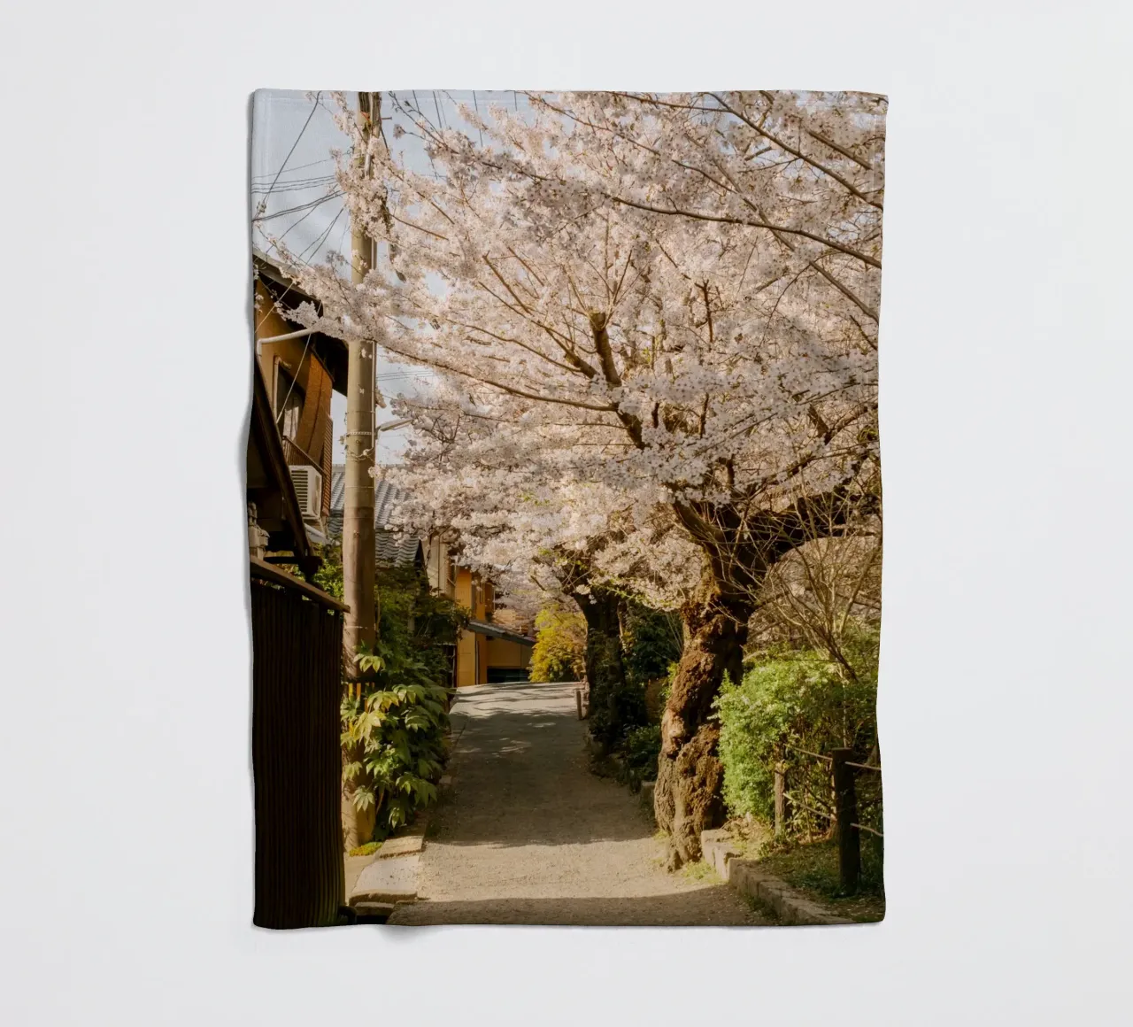 Il sentiero dei ciliegi in fiore a Kyoto, Giappone coperta in pile da mbgraphx2