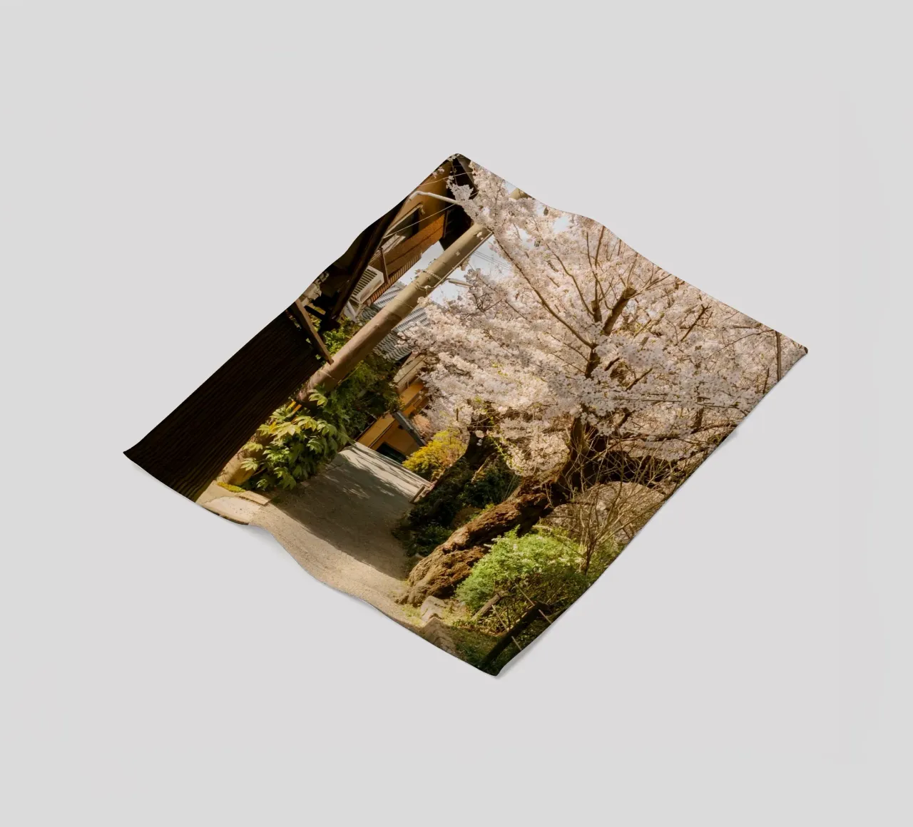 Il sentiero dei ciliegi in fiore a Kyoto, Giappone coperta in pile da mbgraphx2
