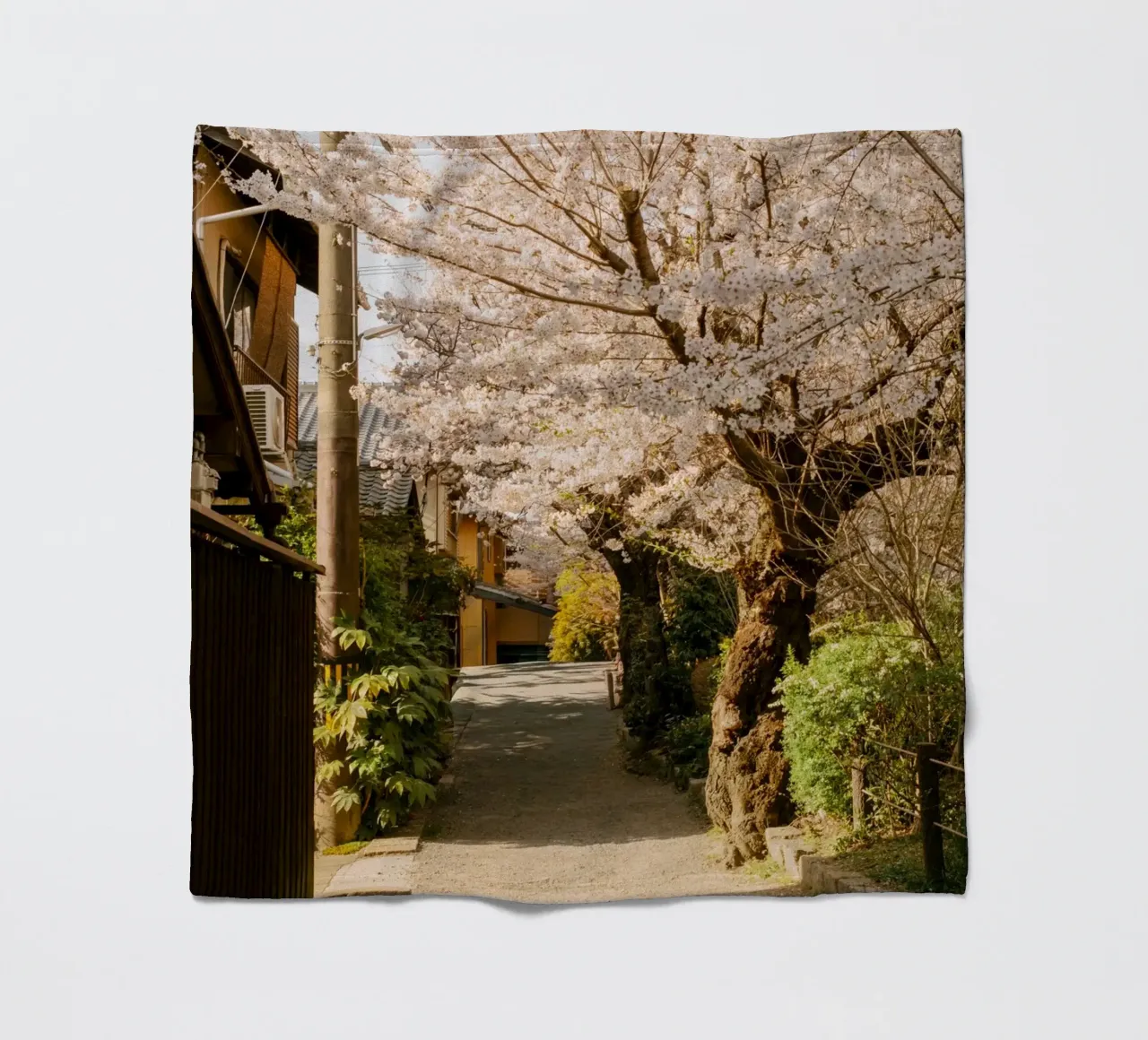 Il sentiero dei ciliegi in fiore a Kyoto, Giappone coperta in pile da mbgraphx2