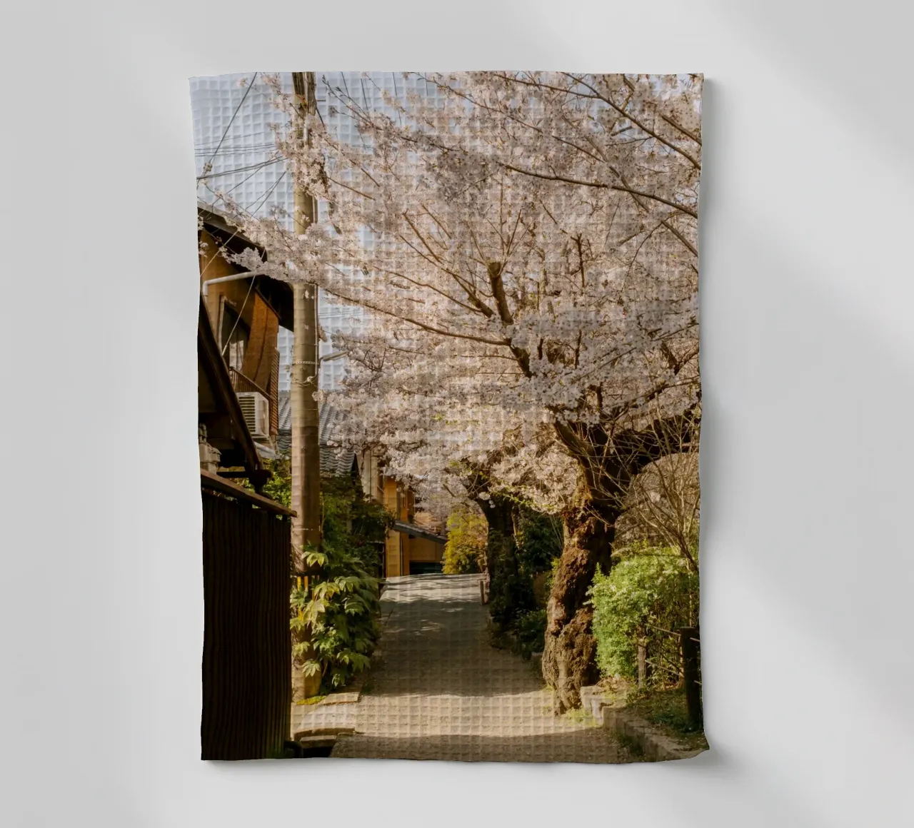 Il sentiero dei ciliegi in fiore a Kyoto, Giappone canovaccio da cucina da mbgraphx2