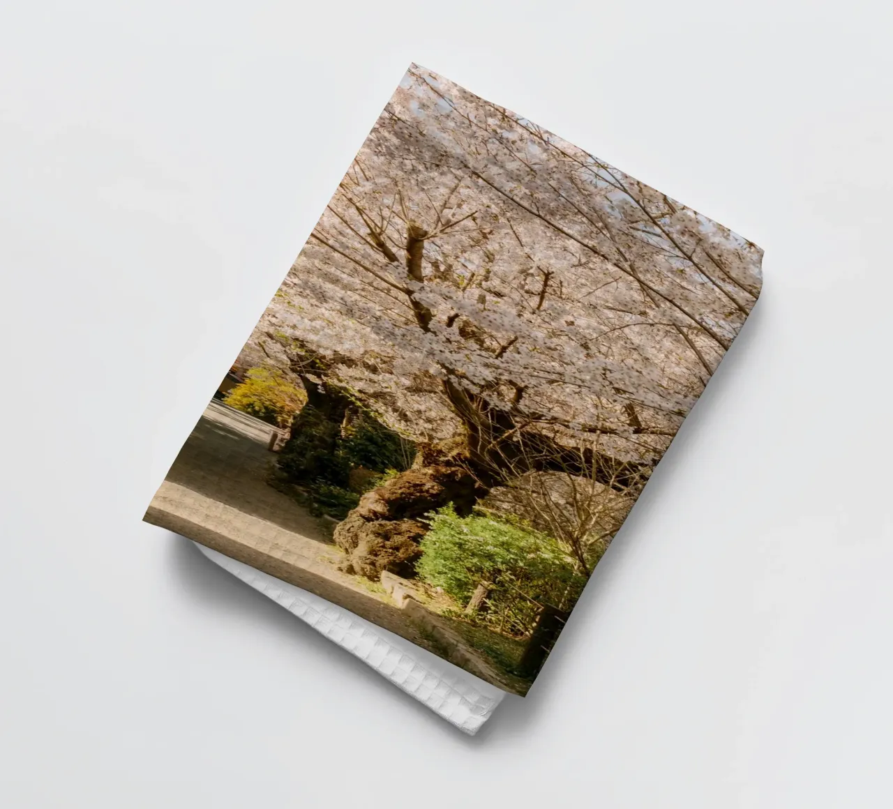 Il sentiero dei ciliegi in fiore a Kyoto, Giappone canovaccio da cucina da mbgraphx2