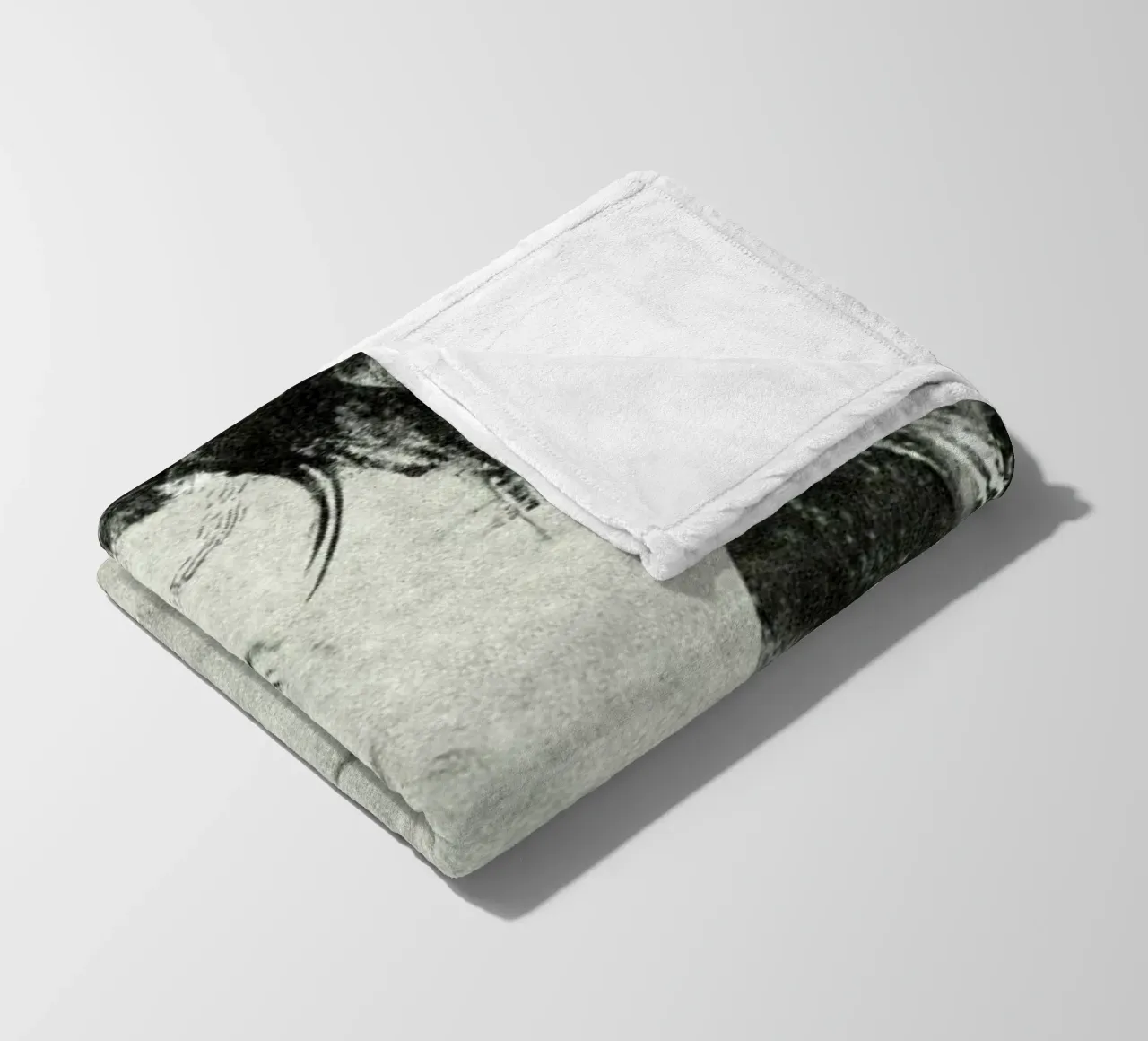 Spellbound plaid polaire de Sandrine Pagnoux