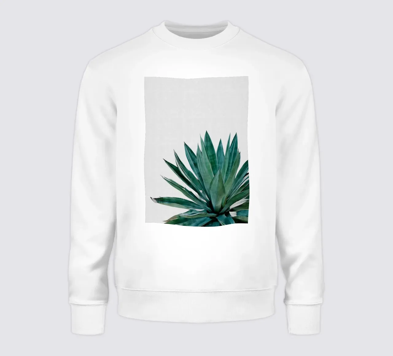Cactus Agave felpa da Orara Studio