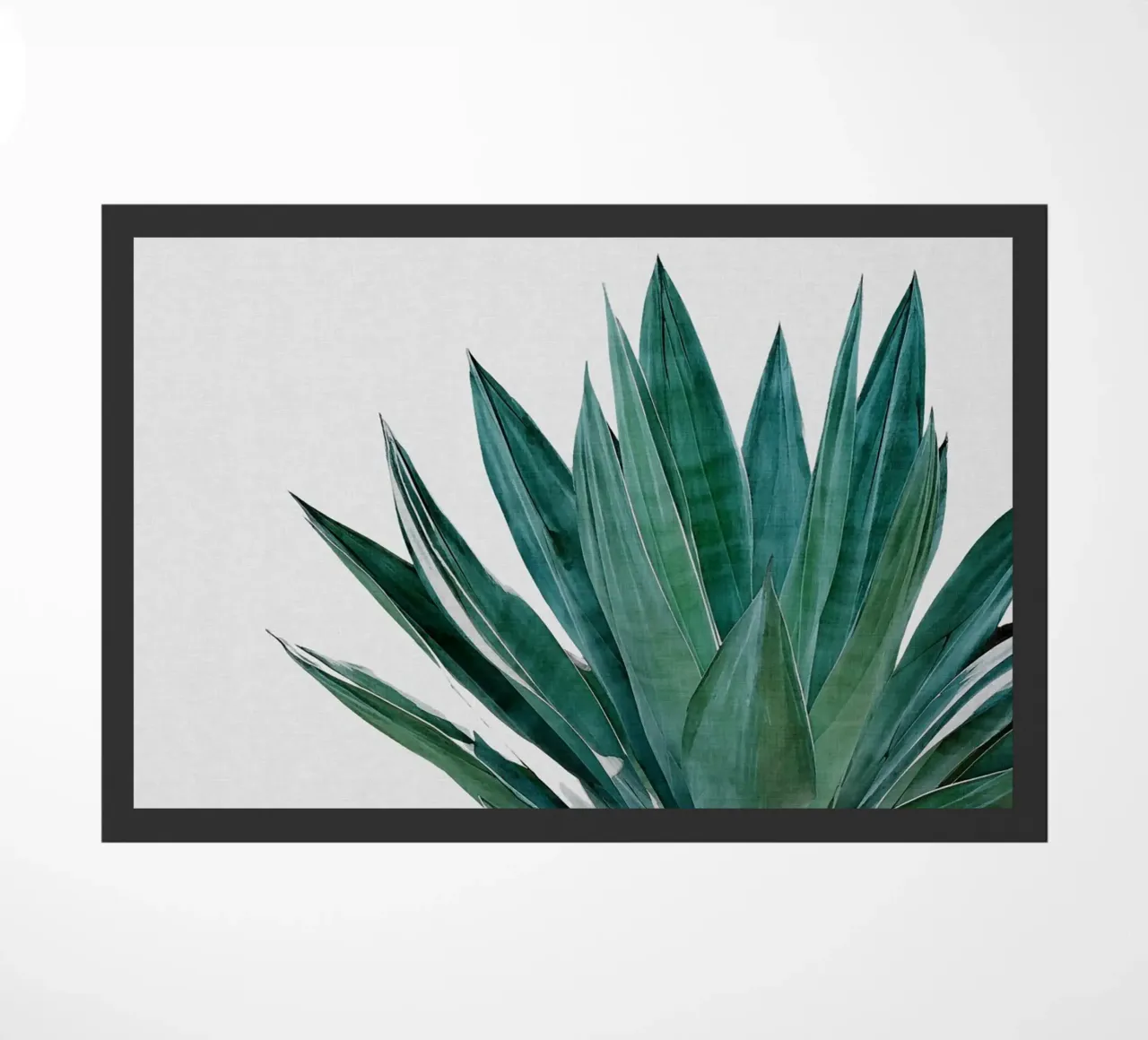 Cactus Agave zerbino da Orara Studio