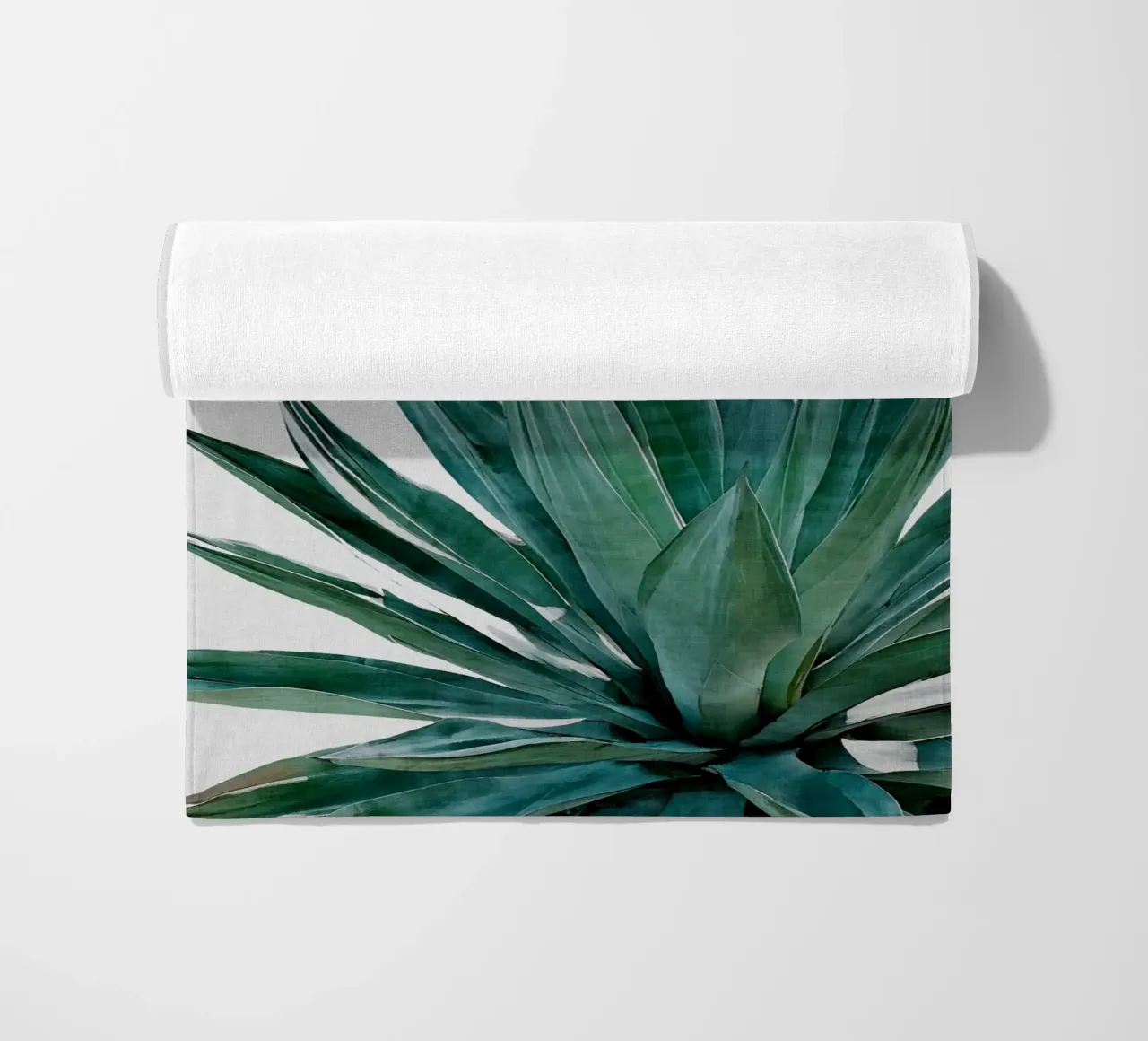 Cactus Agave telo mare da Orara Studio