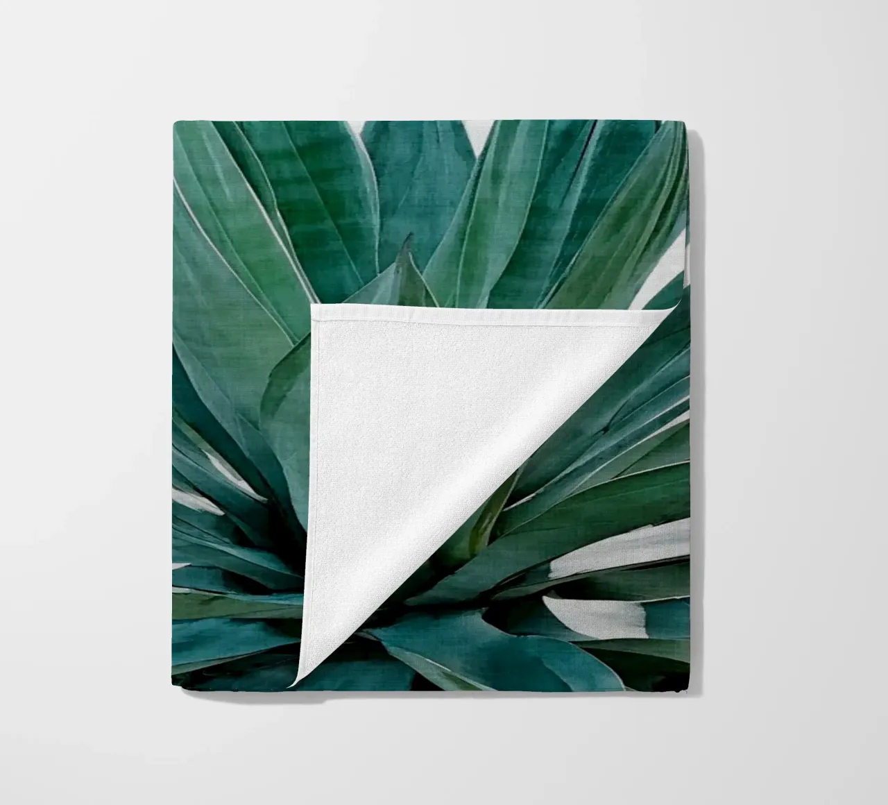 Cactus Agave telo mare da Orara Studio