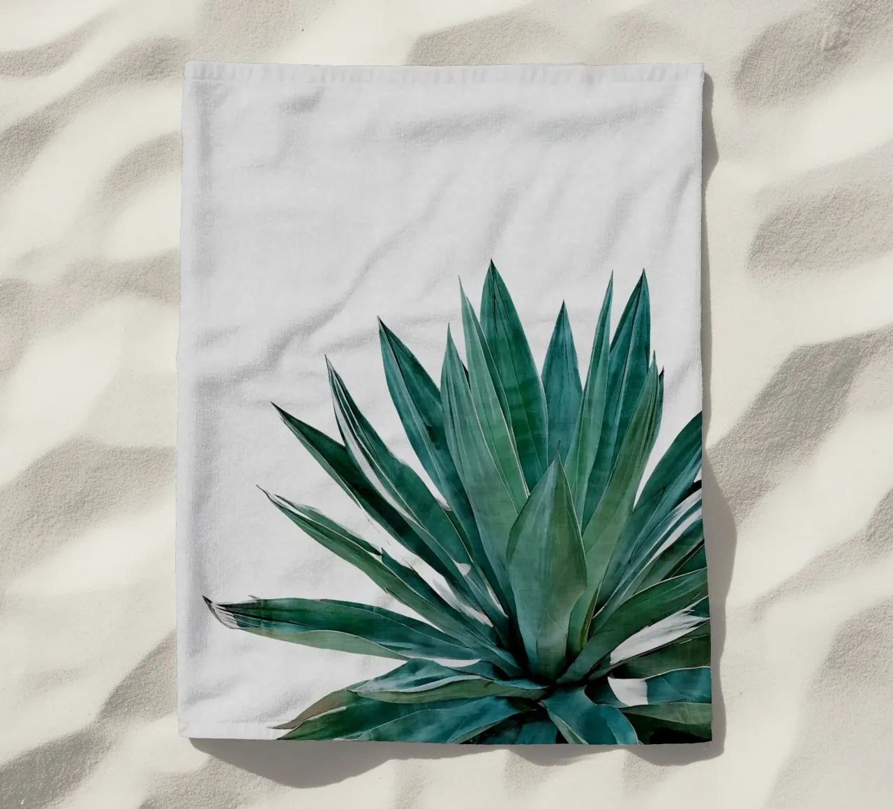 Cactus Agave telo mare da Orara Studio