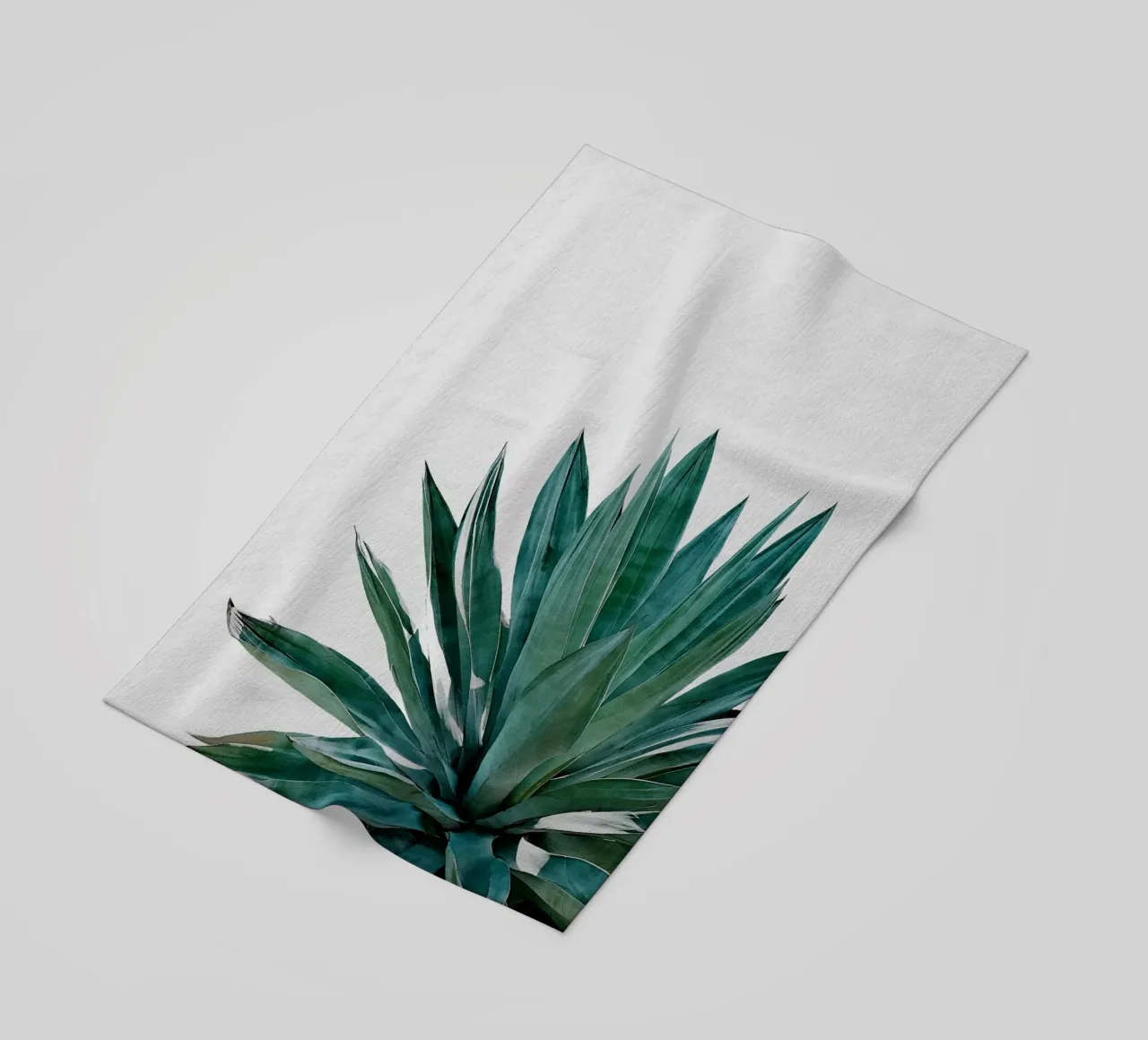 Cactus Agave telo mare da Orara Studio