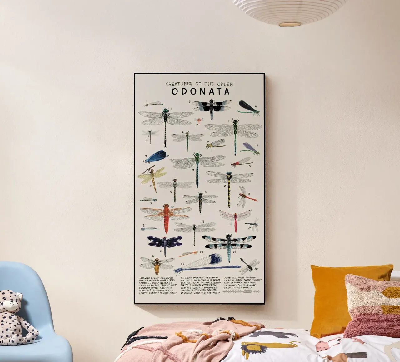 Odonata plexiglass da Graham Robertson