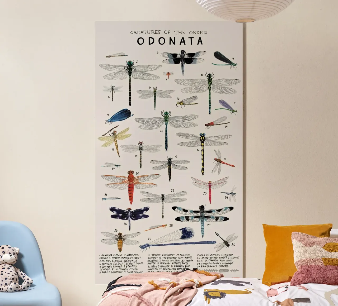 Odonata plexiglass da Graham Robertson