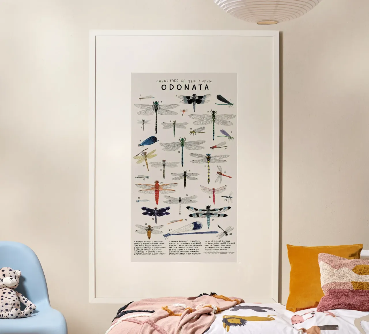 Odonata poster da Graham Robertson