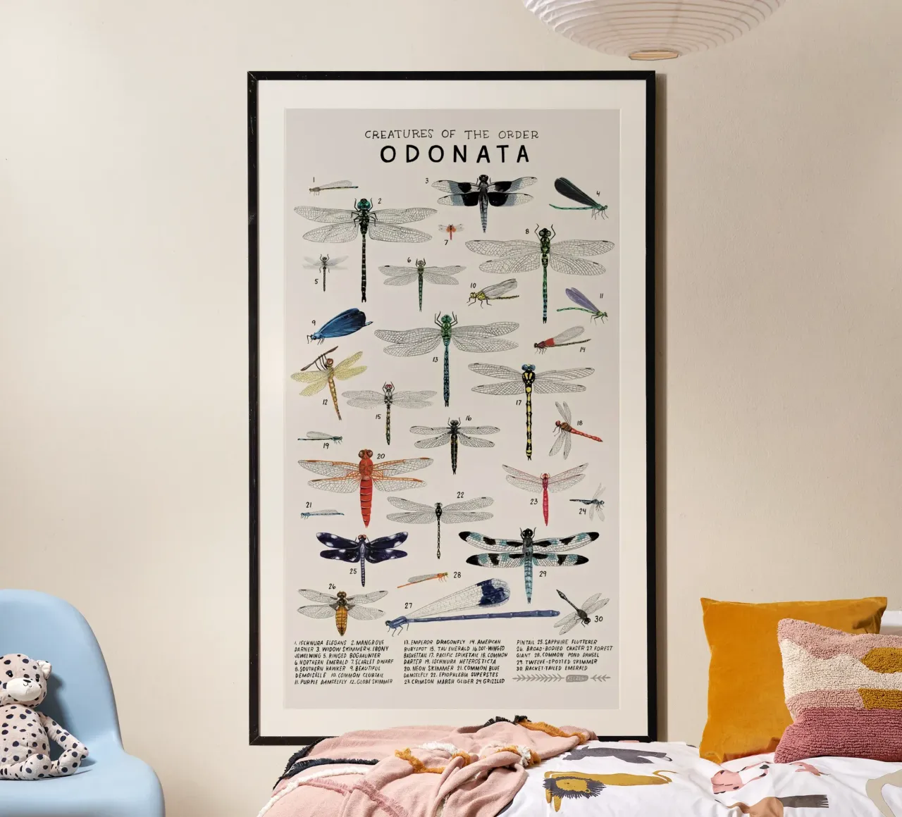 Odonata poster da Graham Robertson