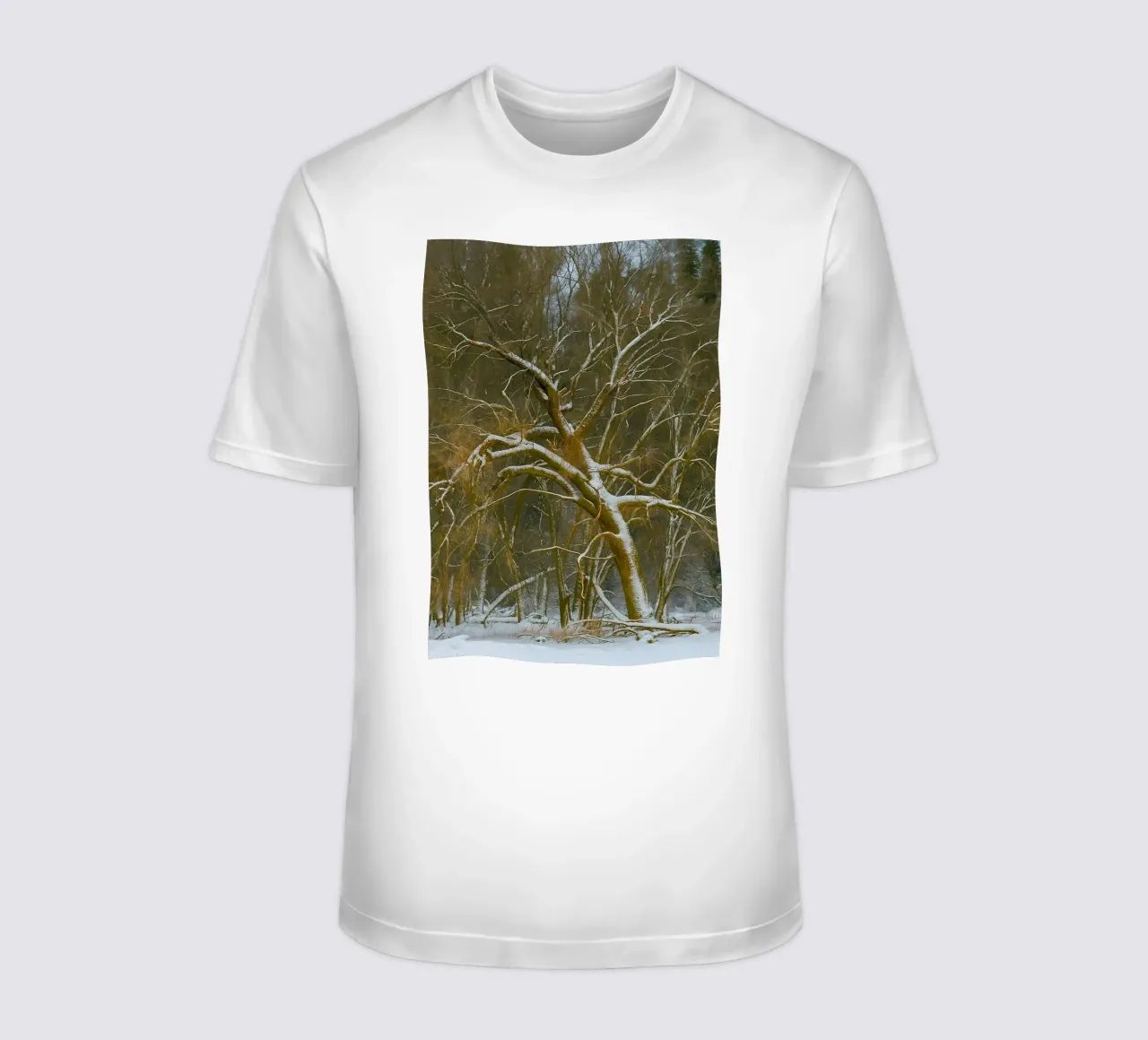 trockene Bäume am Rande des Waldes T-Shirt von PASMING