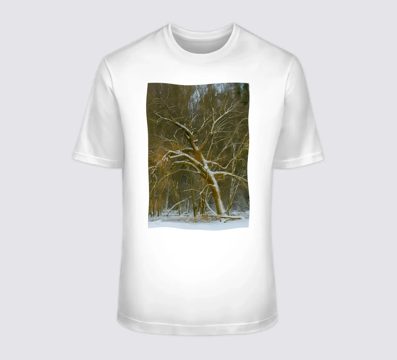 dry trees on the edge of the forest t-shirt by PASMING