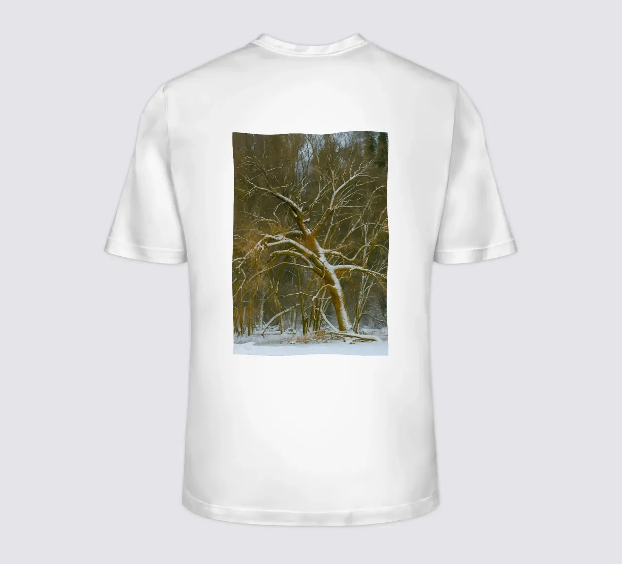 trockene Bäume am Rande des Waldes T-Shirt von PASMING