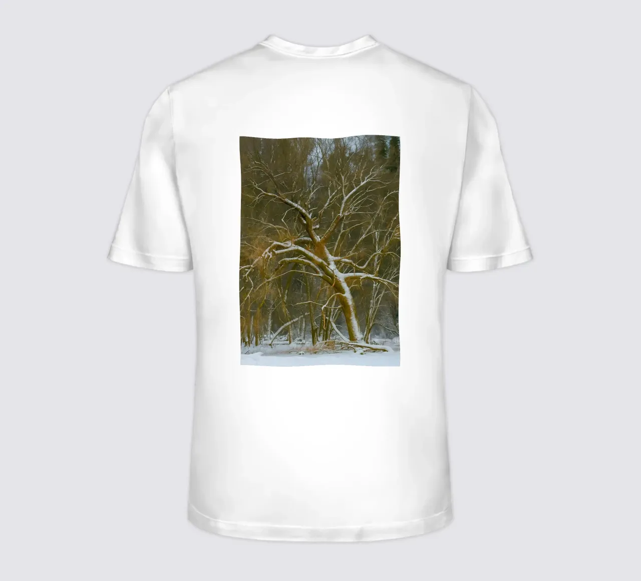 dry trees on the edge of the forest t-shirt by PASMING
