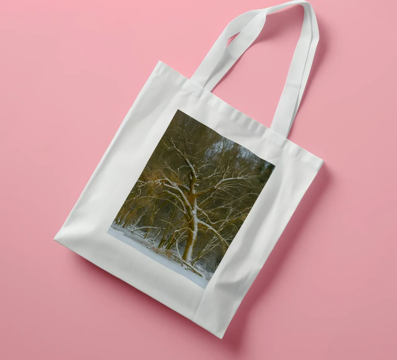alberi secchi ai margini della foresta borsa in juta da PASMING