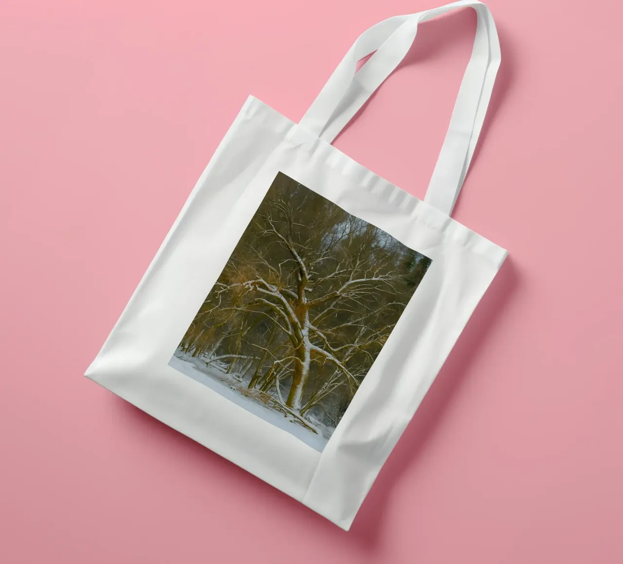 alberi secchi ai margini della foresta borsa in juta da PASMING