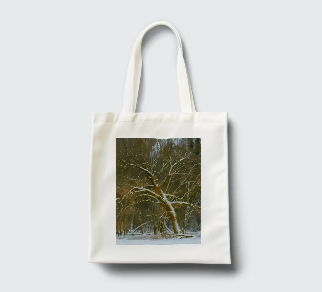 alberi secchi ai margini della foresta borsa in juta da PASMING