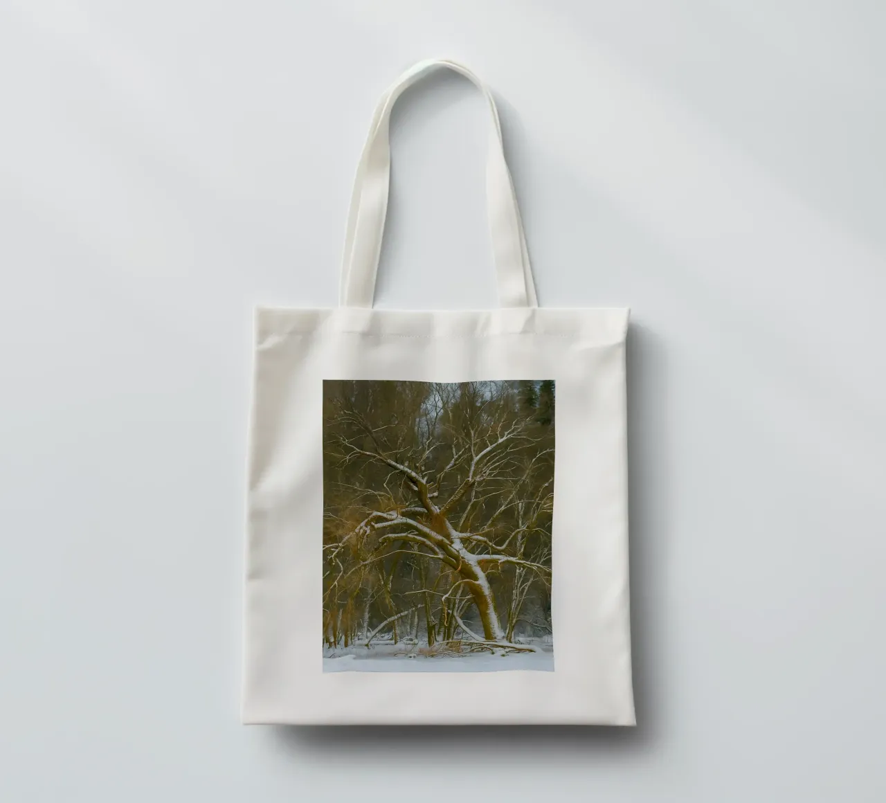 alberi secchi ai margini della foresta borsa in juta da PASMING