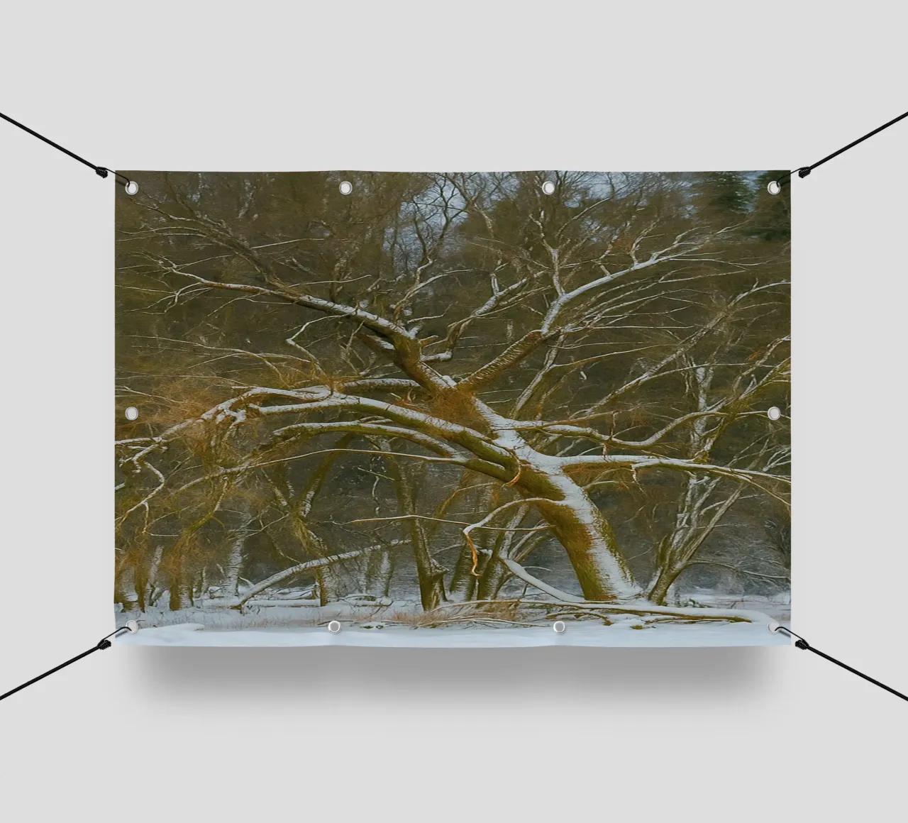 alberi secchi ai margini della foresta telo in pvc da PASMING
