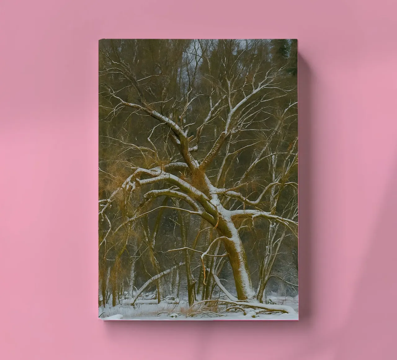 dry trees on the edge of the forest notebook by PASMING