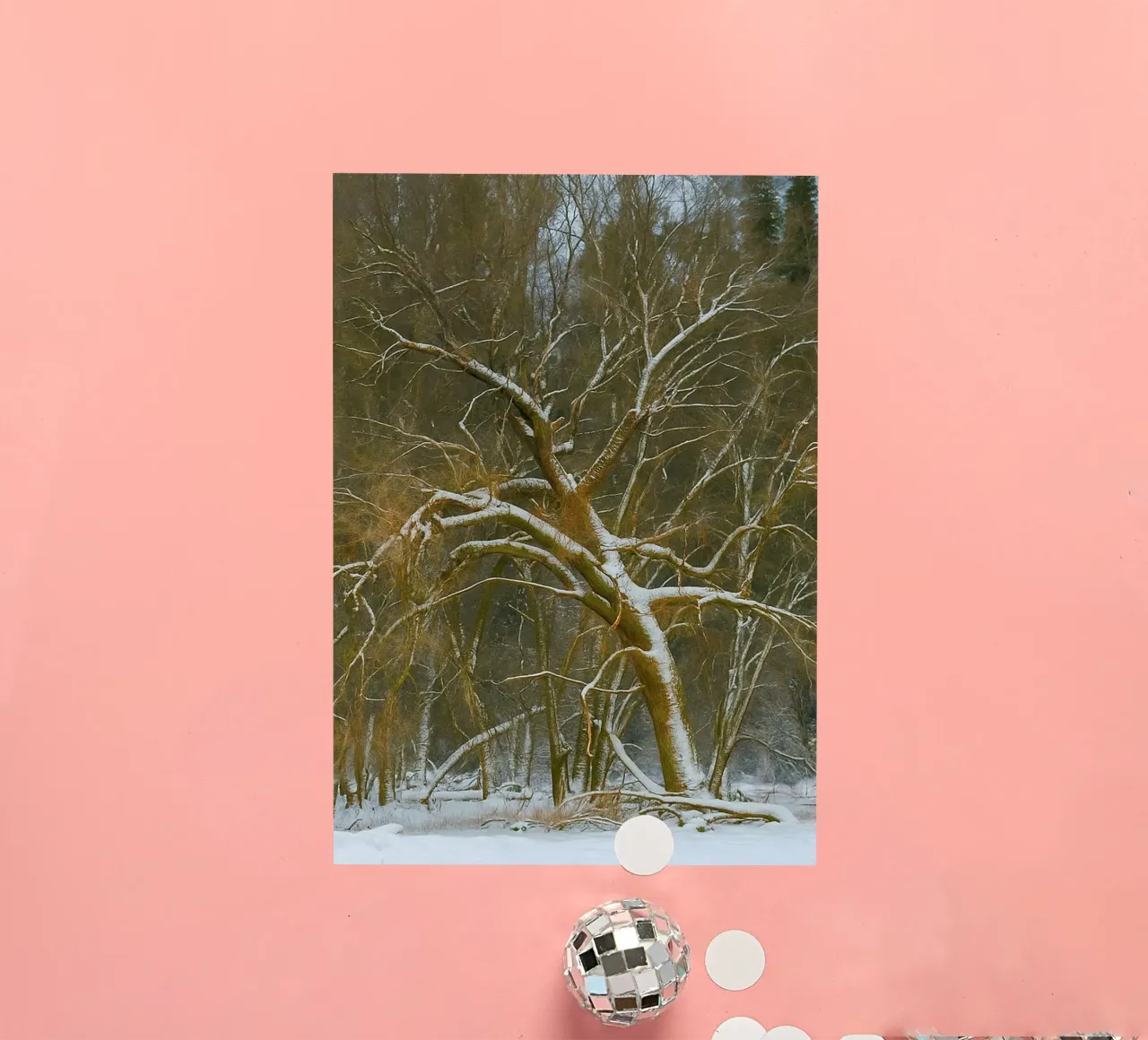 dry trees on the edge of the forest sticker by PASMING