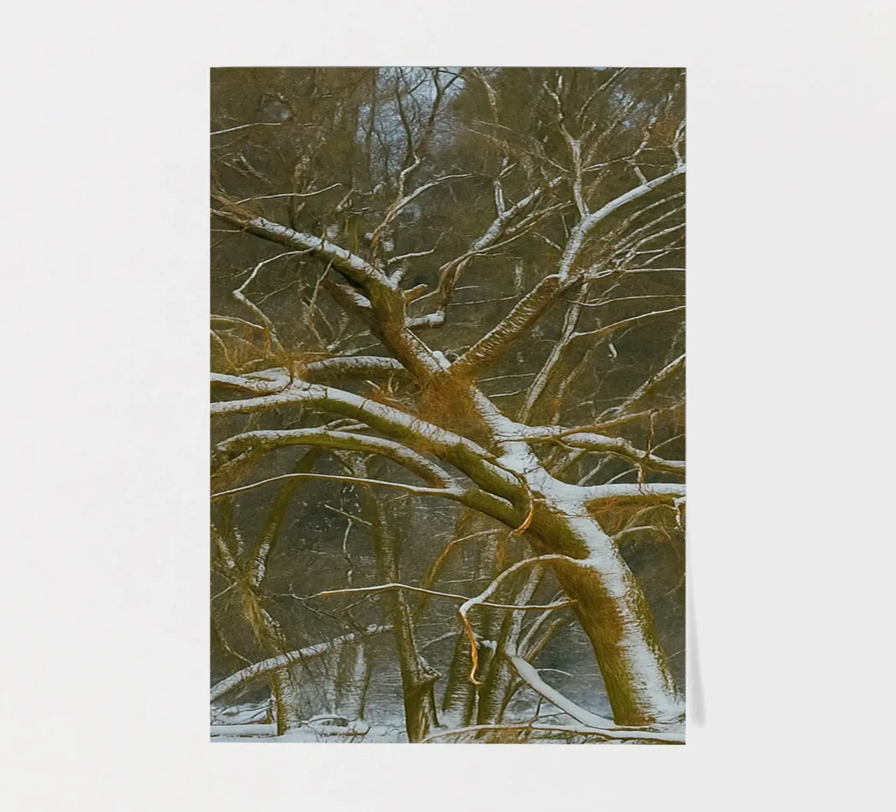 dry trees on the edge of the forest sticker sheet by PASMING