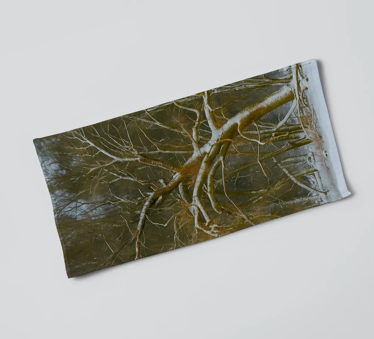 arbres secs à la lisière de la forêt serviette de bain de PASMING