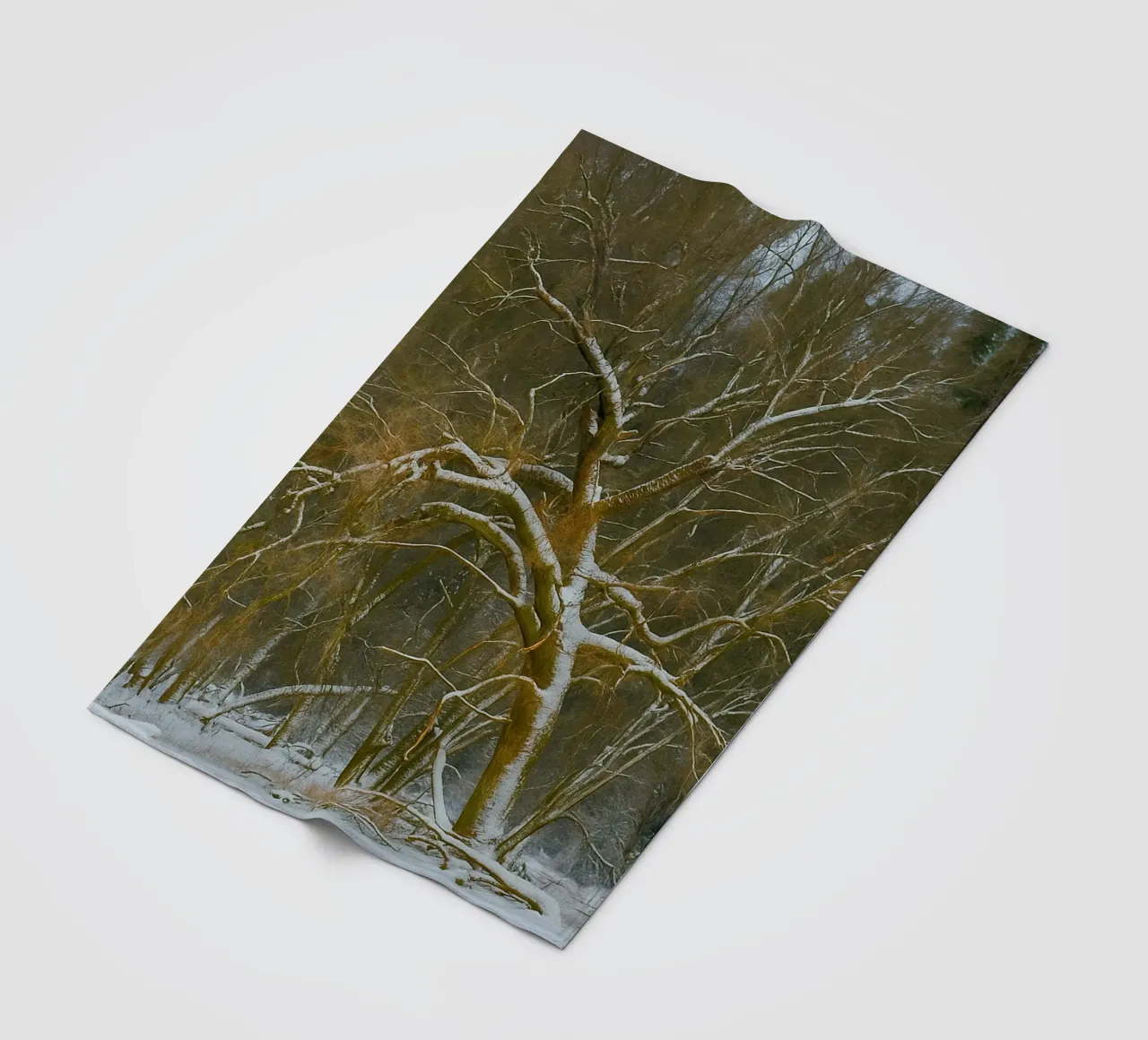 dry trees on the edge of the forest fleece blanket by PASMING