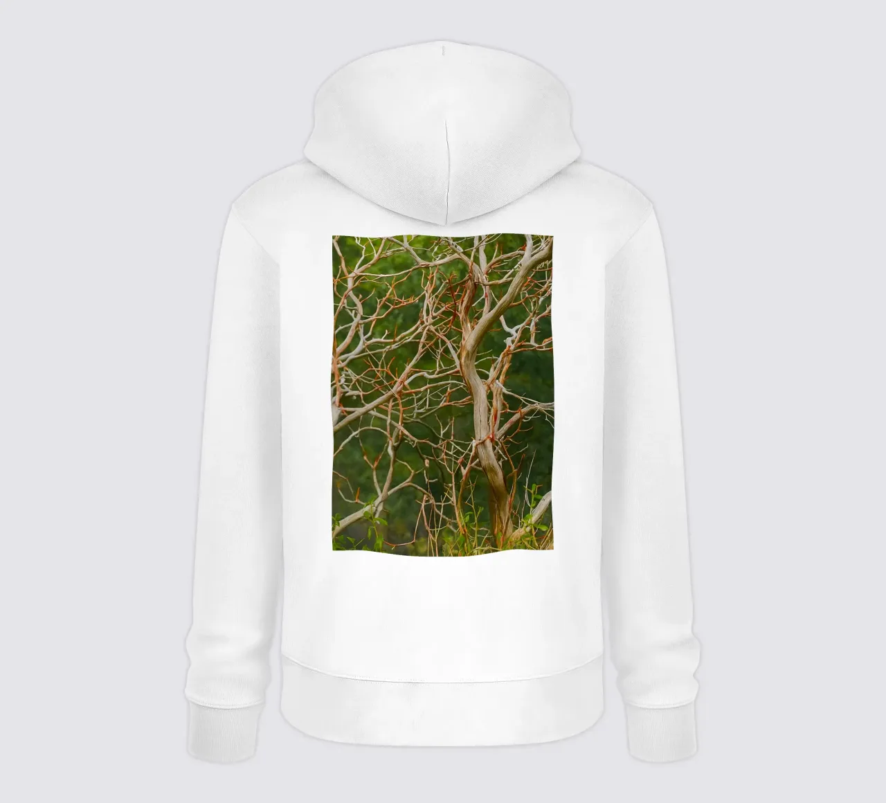 rami di alberi secchi felpa con cappuccio da PASMING