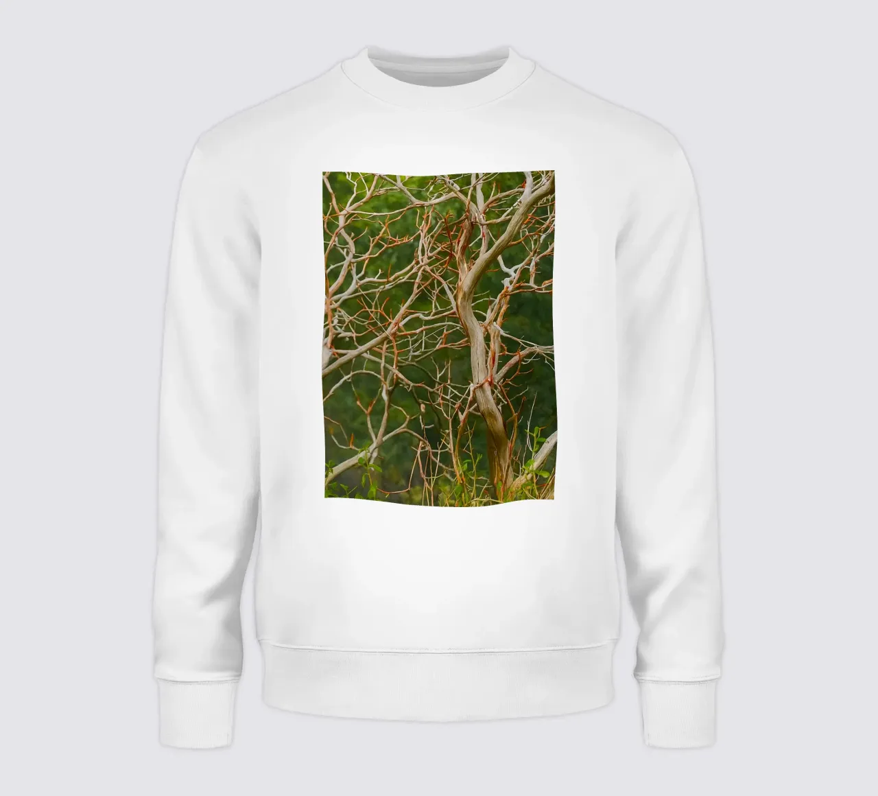 trockene Äste Sweatshirt von PASMING