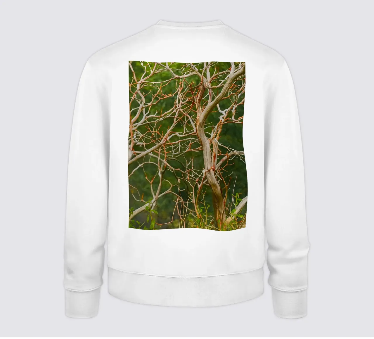 trockene Äste Sweatshirt von PASMING