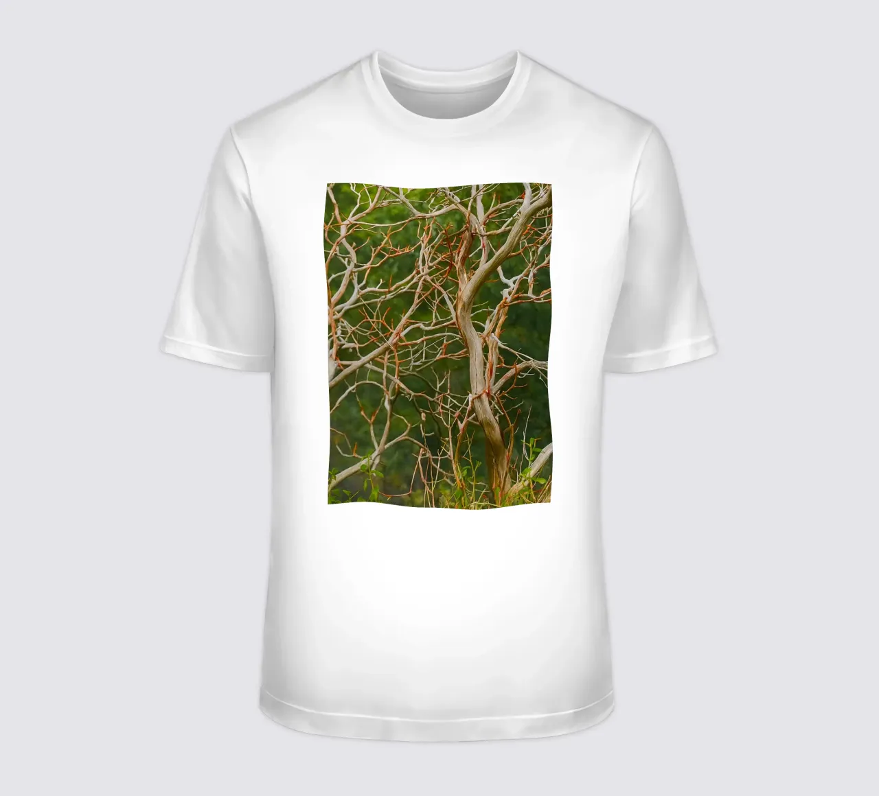 rami di alberi secchi t-shirt da PASMING