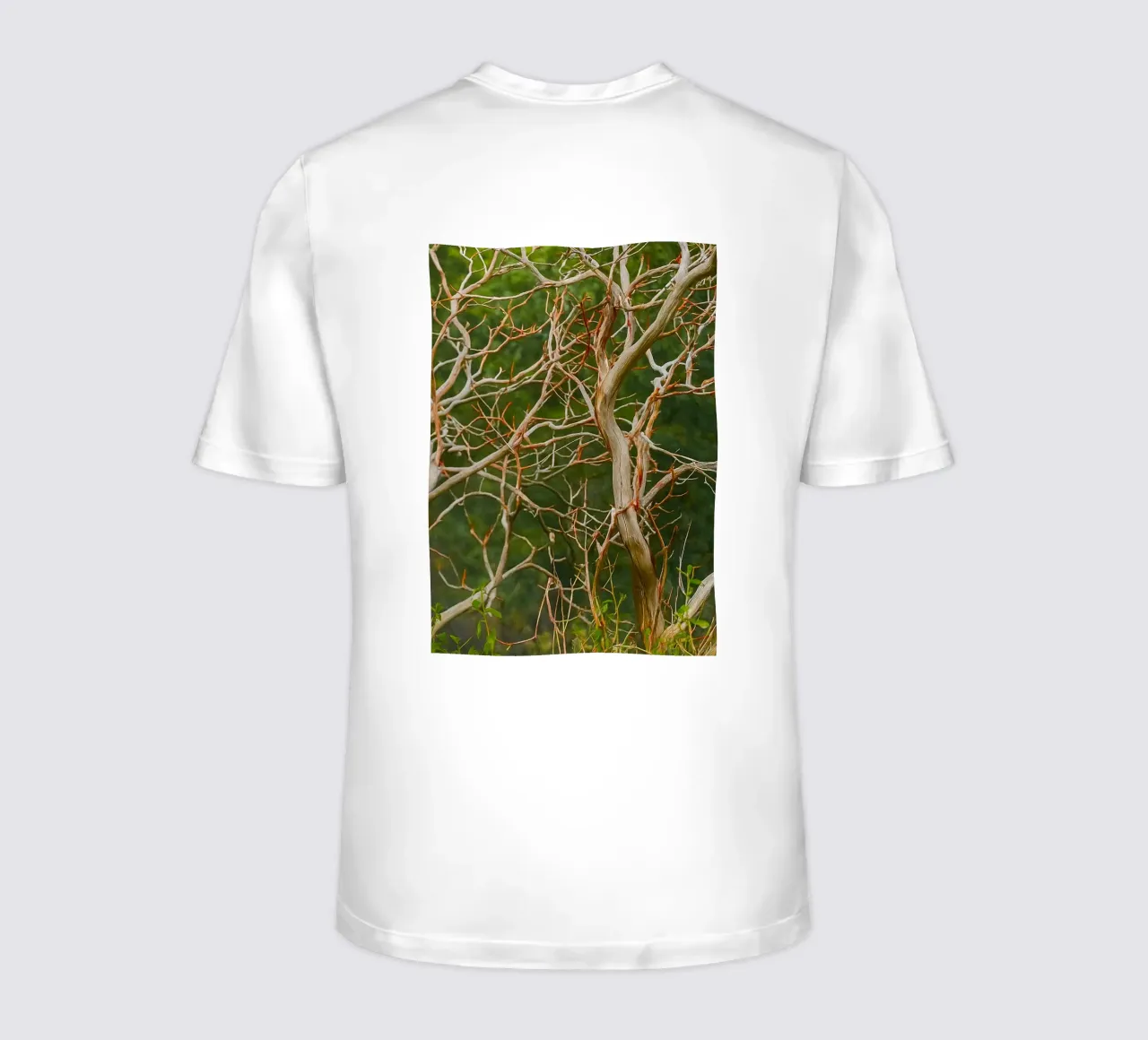 rami di alberi secchi t-shirt da PASMING