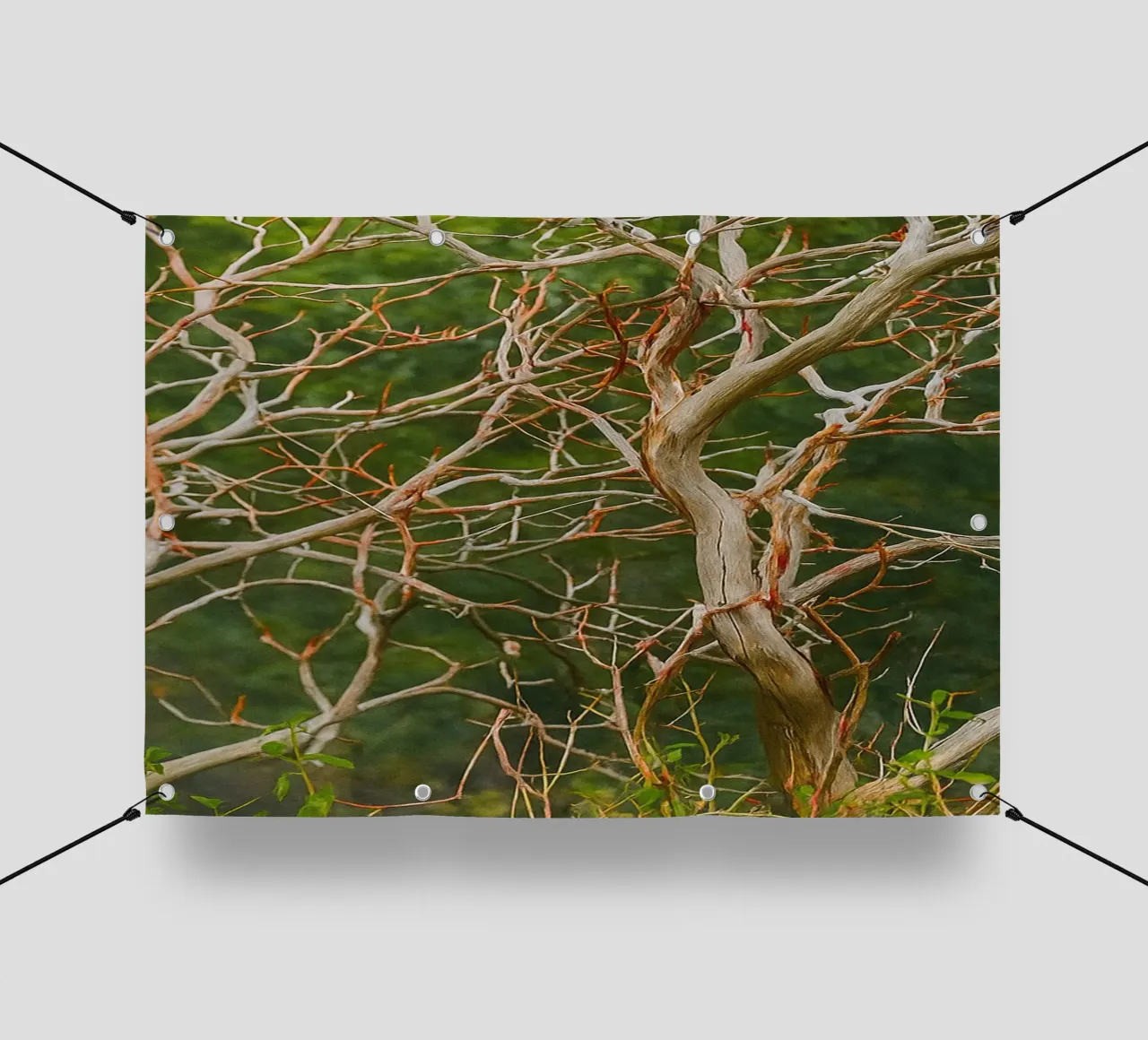rami di alberi secchi telo in pvc da PASMING