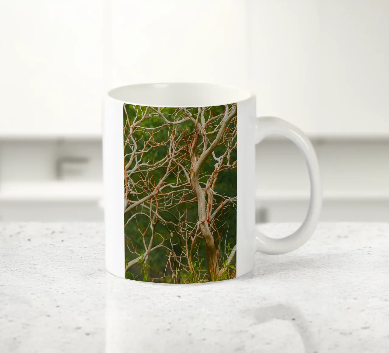 rami di alberi secchi tazza in ceramica da PASMING