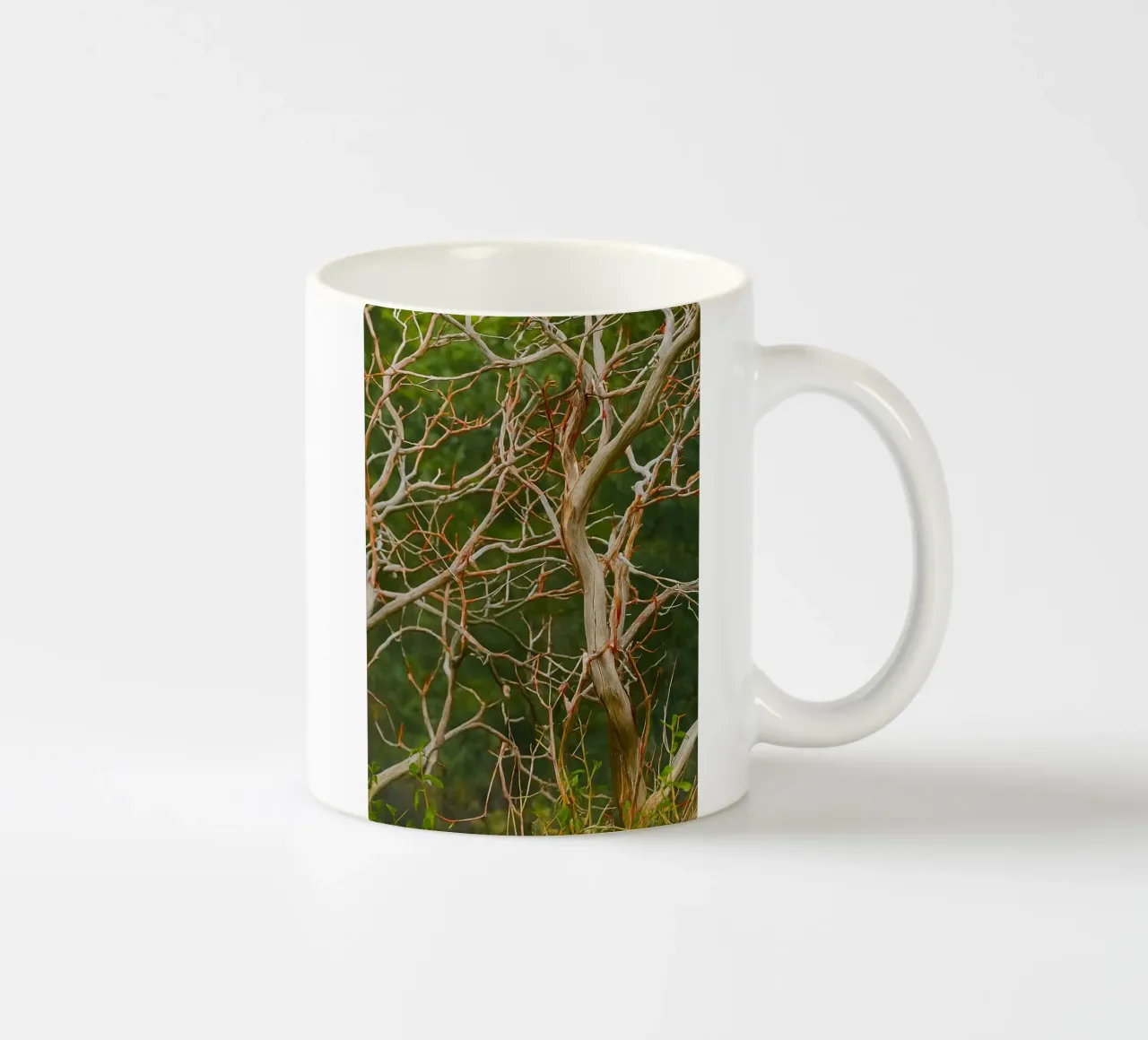 rami di alberi secchi tazza in ceramica da PASMING
