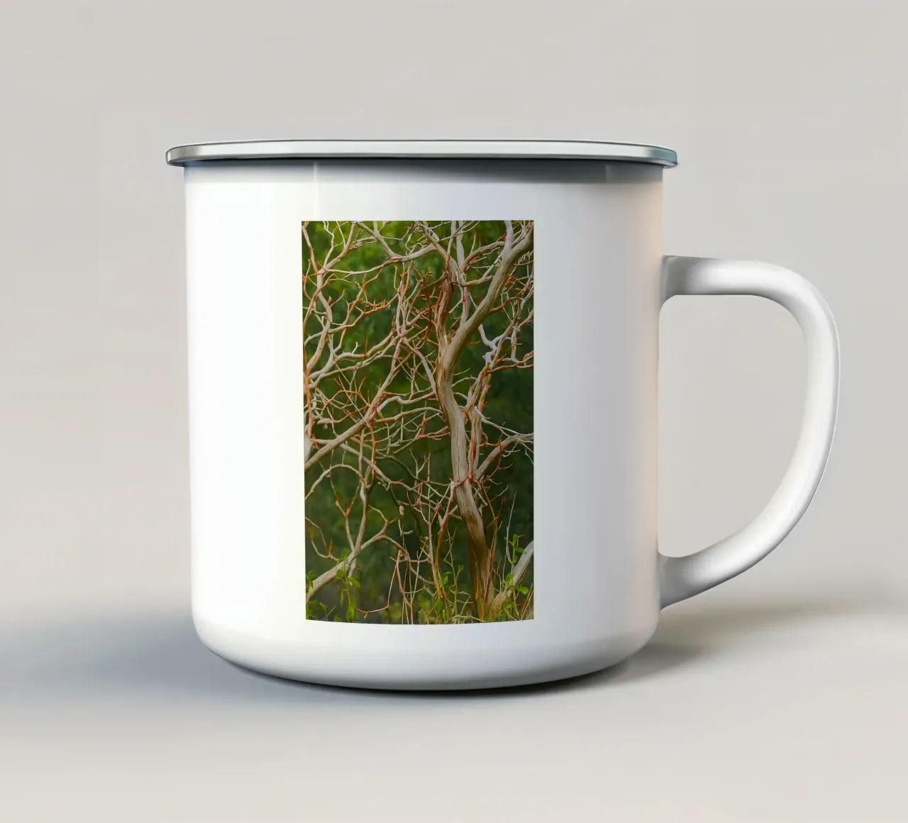 rami di alberi secchi tazza in smalto da PASMING