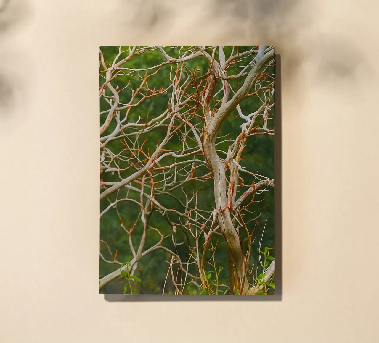 dry tree branches notebook by PASMING