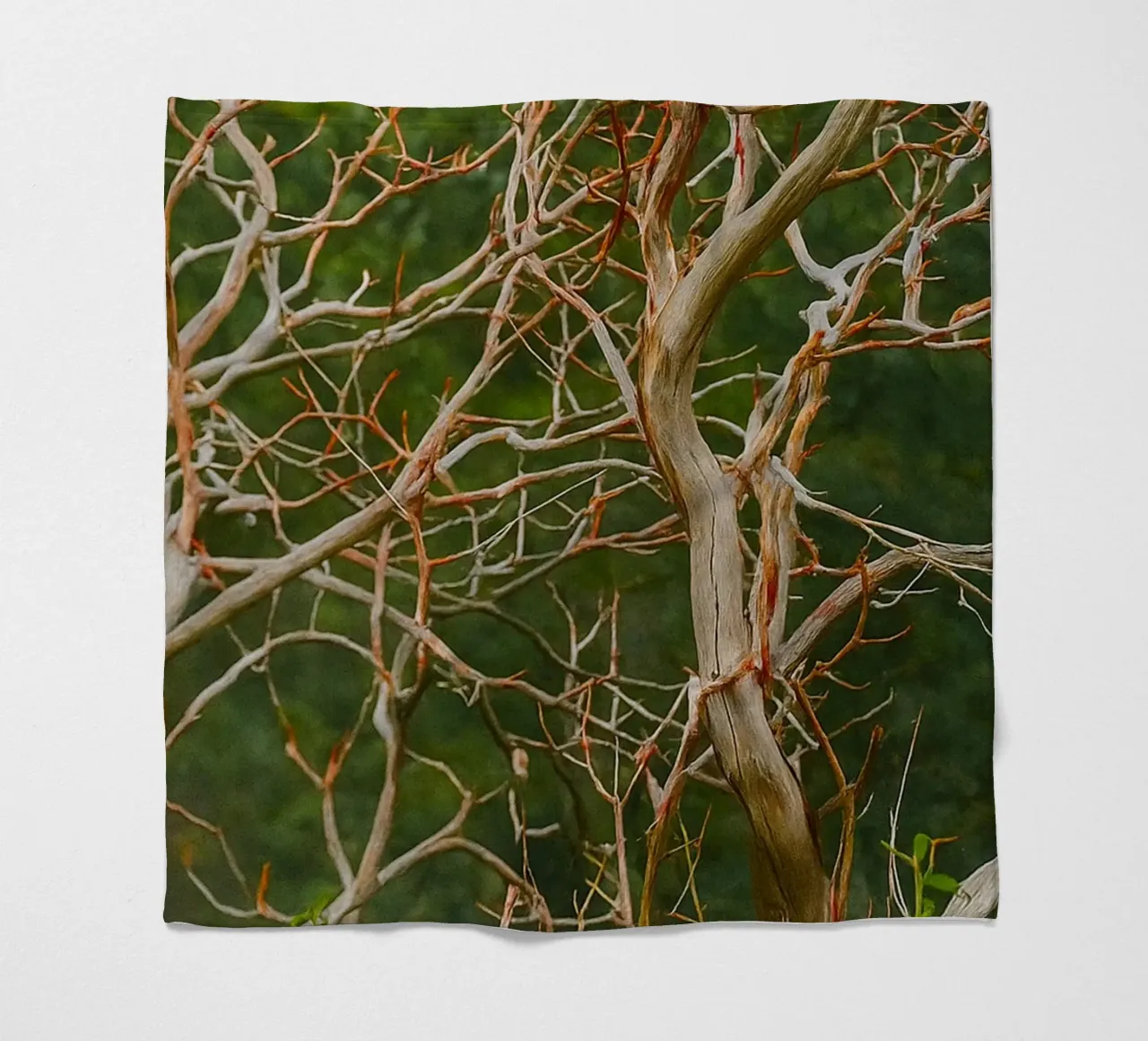 rami di alberi secchi coperta in pile da PASMING