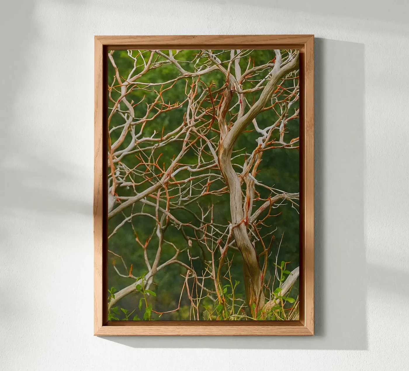 dry tree branches forex plate by PASMING