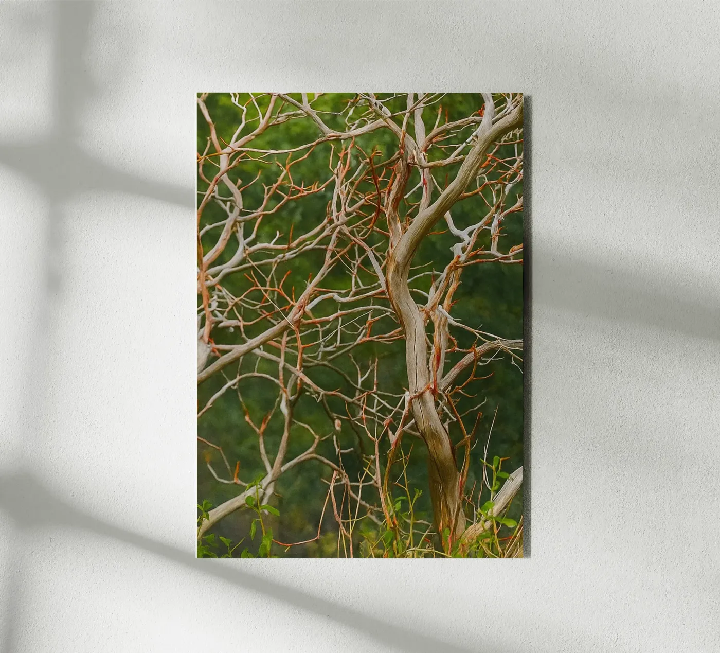 dry tree branches forex plate by PASMING