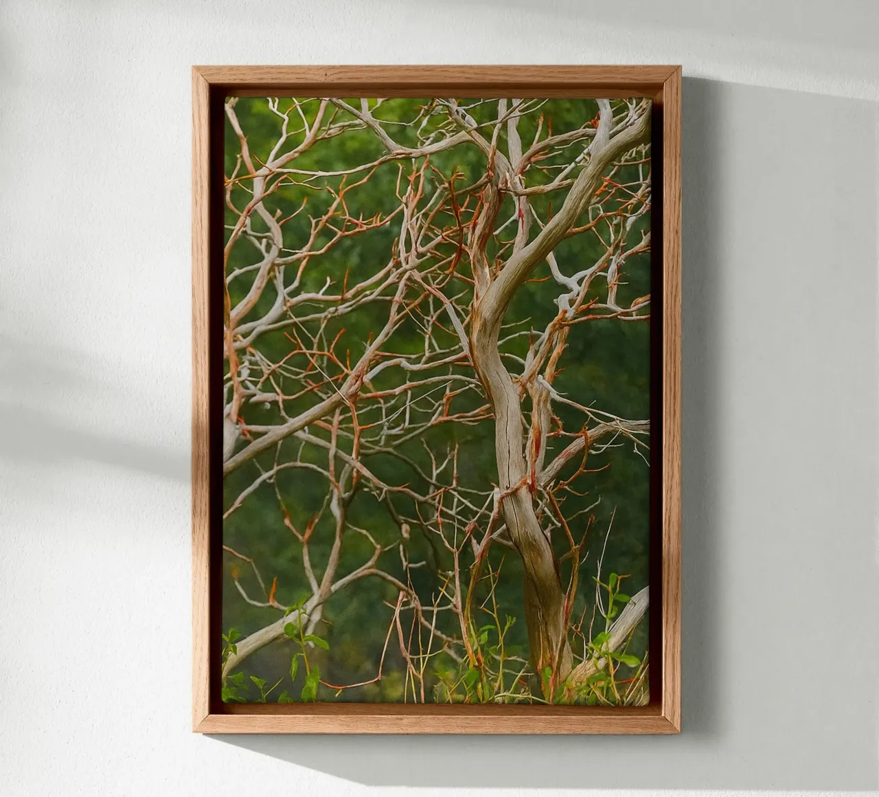 dry tree branches canvas by PASMING